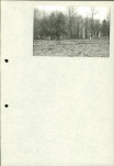 Ewidencja parkowa, skan nr 33