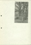 Ewidencja parkowa, skan nr 25
