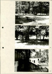 Ewidencja parkowa, skan nr 28