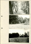 Ewidencja parkowa, skan nr 32