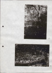 EP - Ewidencja parkowa, skan nr 32
