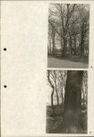 Ewidencja parkowa, skan nr 27