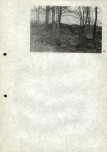 Ewidencja parkowa, skan nr 28