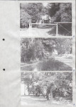 Ewidencja parkowa, skan nr 20