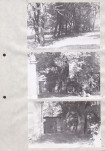 Ewidencja parkowa, skan nr 21