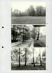 Ewidencja parkowa, skan nr 26
