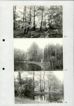 Ewidencja parkowa, skan nr 27