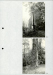 Ewidencja parkowa, skan nr 29