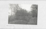 Ewidencja parkowa, skan nr 26