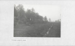Ewidencja parkowa, skan nr 27
