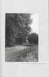EP - Ewidencja parkowa, skan nr 32