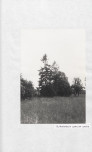 Ewidencja parkowa, skan nr 29