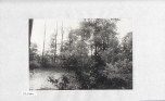 Ewidencja parkowa, skan nr 41