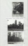 Ewidencja parkowa, skan nr 25