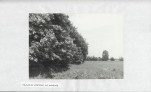 Ewidencja parkowa, skan nr 54