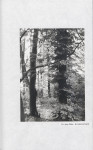 EP - Ewidencja parkowa, skan nr 34