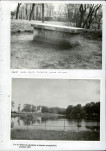 Ewidencja parkowa, skan nr 54
