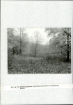 Ewidencja parkowa, skan nr 31