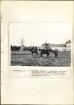 Ewidencja parkowa, skan nr 26