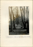 Ewidencja parkowa, skan nr 34