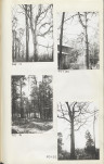 Ewidencja parkowa, skan nr 28