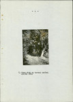 Ewidencja parkowa, skan nr 42