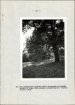 Ewidencja parkowa, skan nr 48