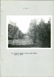 Ewidencja parkowa, skan nr 52
