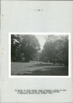 Ewidencja parkowa, skan nr 54