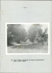 Ewidencja parkowa, skan nr 59