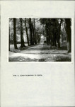 Ewidencja parkowa, skan nr 23