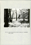 Ewidencja parkowa, skan nr 34