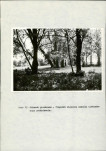 Ewidencja parkowa, skan nr 36
