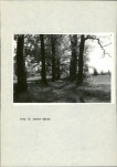 Ewidencja parkowa, skan nr 41