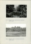 Ewidencja parkowa, skan nr 46