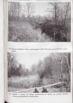 Ewidencja parkowa, skan nr 41