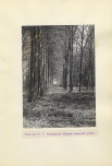 Ewidencja parkowa, skan nr 26