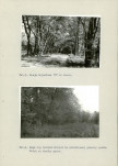 Ewidencja parkowa, skan nr 46