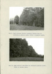 Ewidencja parkowa, skan nr 48