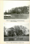 Ewidencja parkowa, skan nr 29