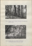 Ewidencja parkowa, skan nr 49