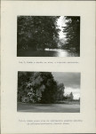 Ewidencja parkowa, skan nr 60