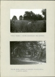 Ewidencja parkowa, skan nr 61