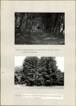 Ewidencja parkowa, skan nr 62