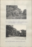Ewidencja parkowa, skan nr 51