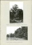 Ewidencja parkowa, skan nr 63