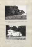 Ewidencja parkowa, skan nr 52