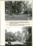 Ewidencja parkowa, skan nr 39