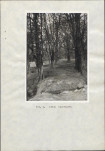 Ewidencja parkowa, skan nr 20