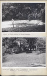 Ewidencja parkowa, skan nr 56